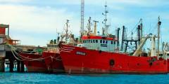 Gobernadores patagónicos rechazan cambios en la actividad pesquera