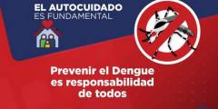 Dengue: ante los signos de alarma concurrir al sistema sanitario