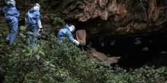 En Ruanda vinculan un peligroso virus con la actividad minera en una cueva habitada por murciélagos