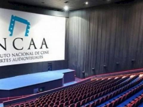 El Gobierno oficializará el cierre del INCAA