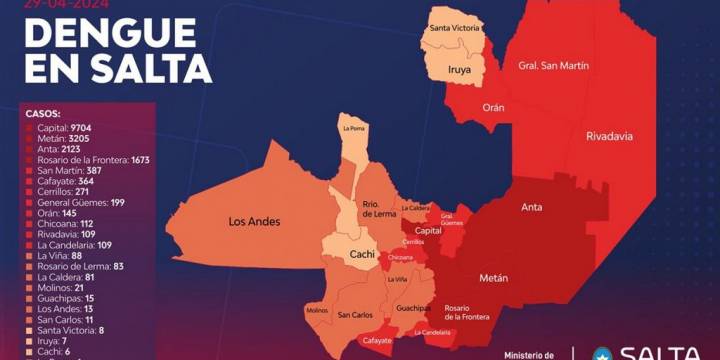 En Salta ya se confirmaron más de 18 mil casos de dengue