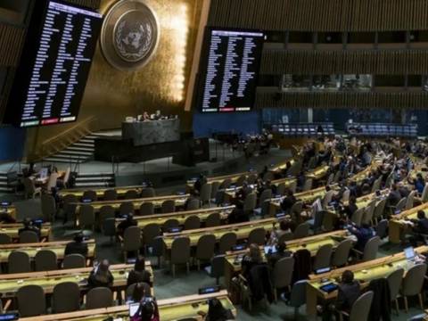 Argentina fue el único país del mundo en votar contra una resolución para eliminar la violencia contra mujeres y niñas