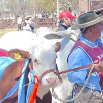 Hasta el domingo estará abierta la 82º edición de la Expo Rural Salta
