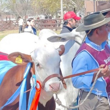 Hasta el domingo estará abierta la 82º edición de la Expo Rural Salta