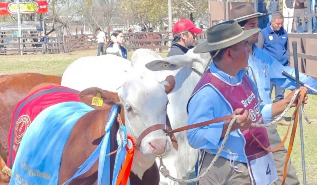 Hasta el domingo estará abierta la 82º edición de la Expo Rural Salta