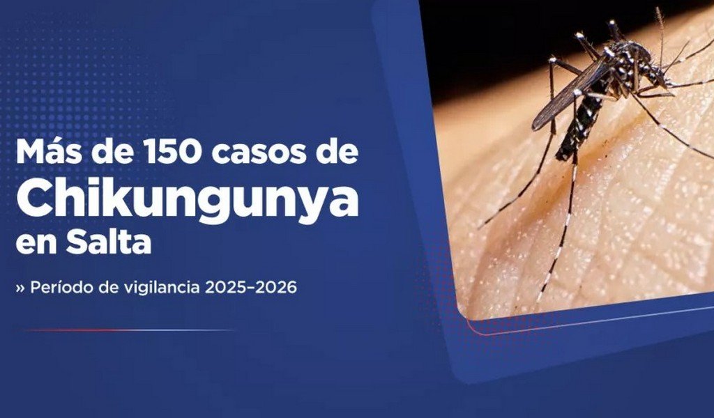 Salta registra más de 150 casos confirmados de chikungunya en lo que va del período de vigilancia 2025–2026