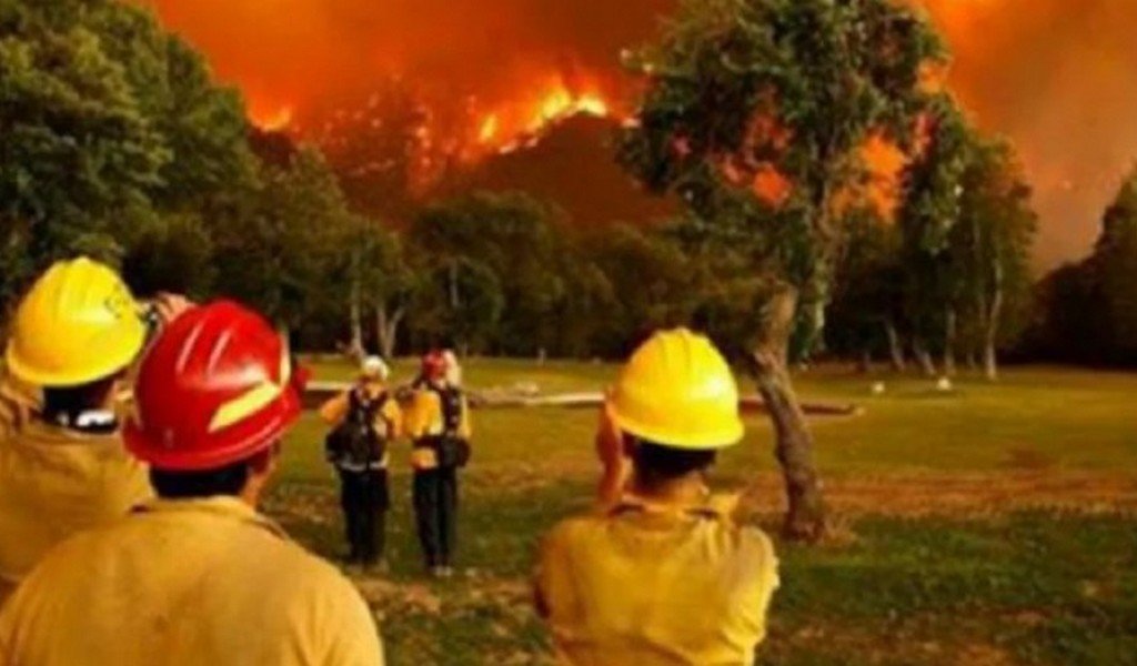 Incendios forestales en Chile: 15 muertos