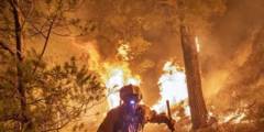 España lucha contra los incendios forestales