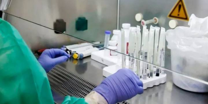 En Salta no se confirmaron casos de la variante K del virus Influenza A